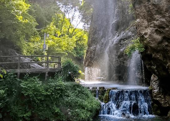 虫虫助手下载