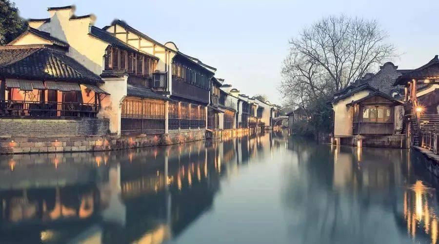 铁根在哪直播,解锁智慧