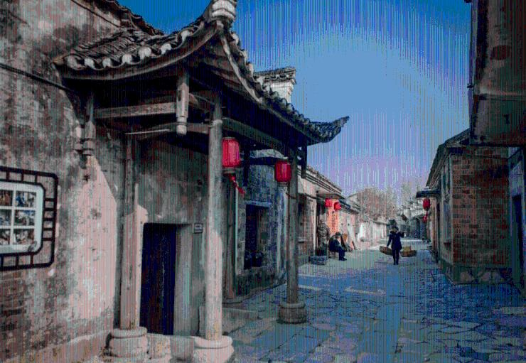 见龙夜读1.31
